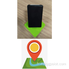 Traqueur GPS de véhicule LTE